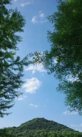 照片 5